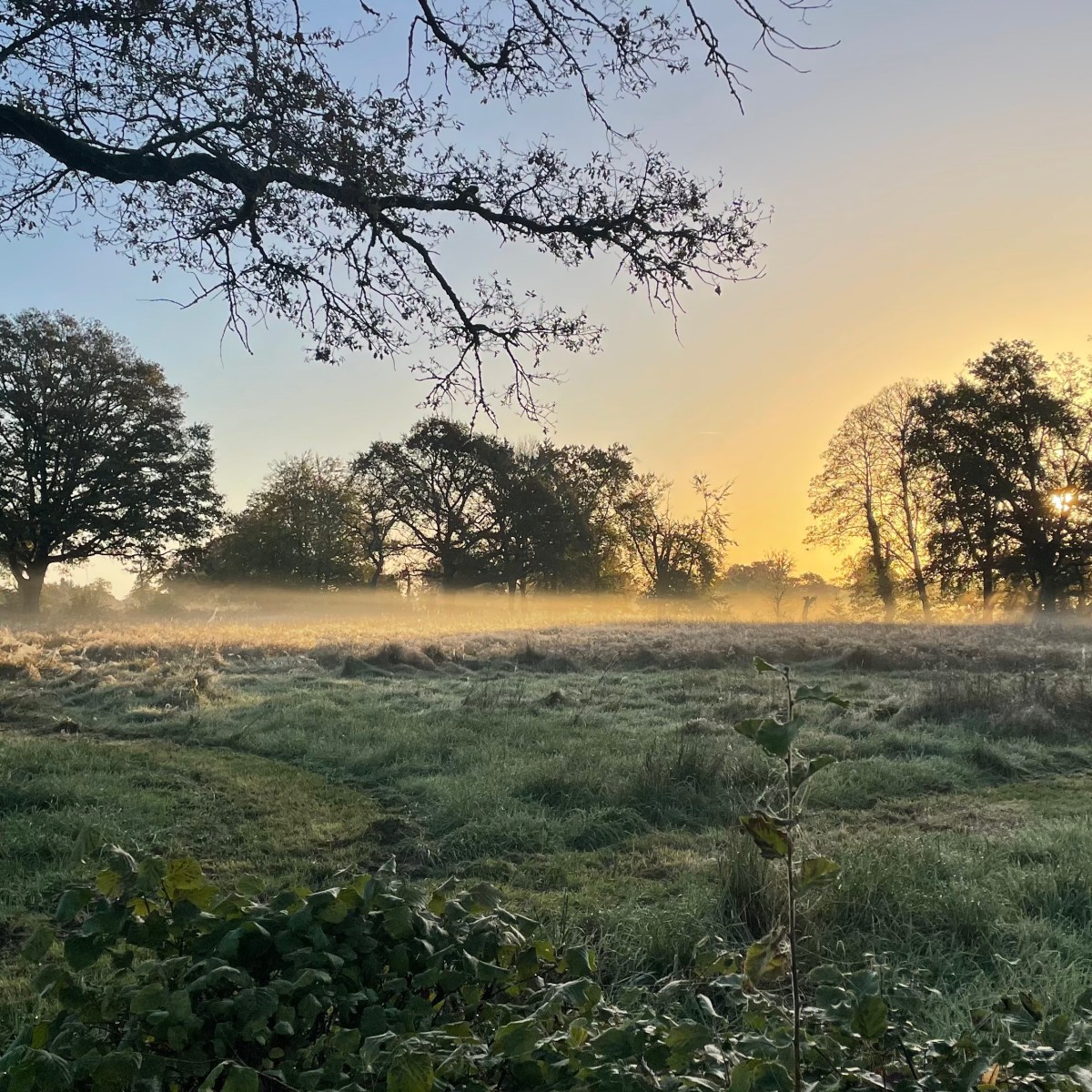 2025 in beeld&nbsp;🎥